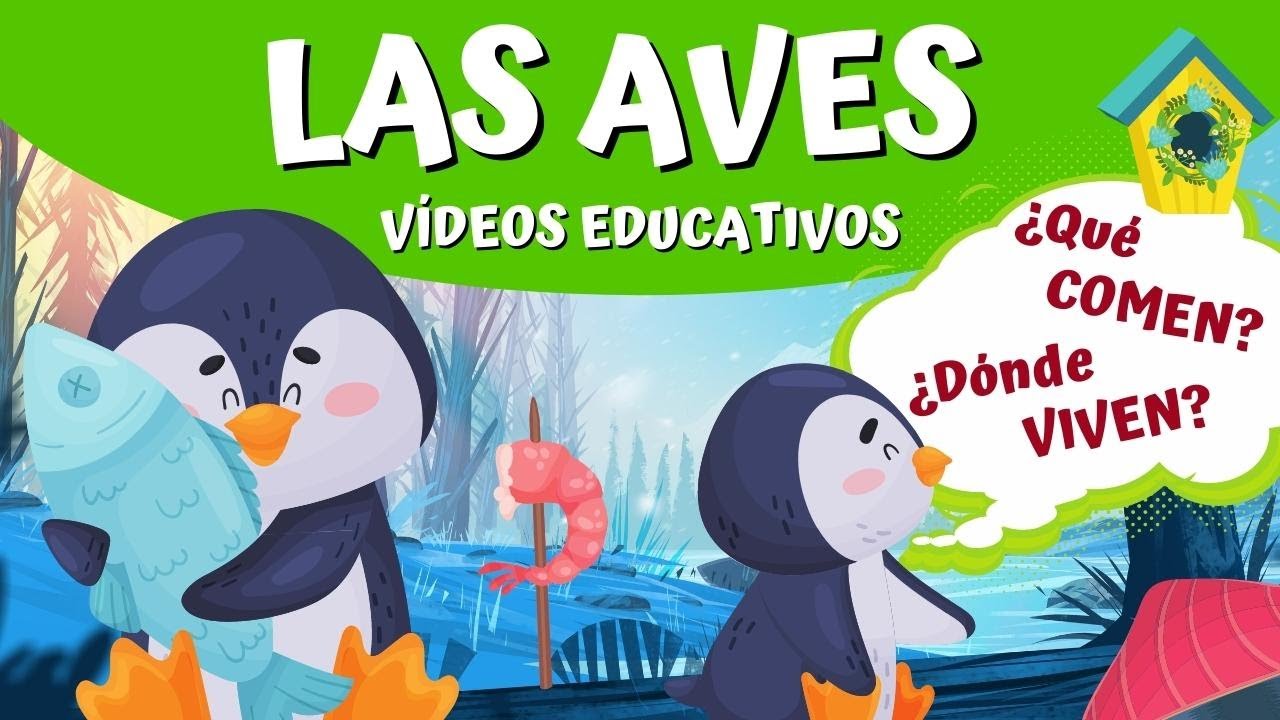 LAS AVES: ¿Qué comen y dónde viven las aves?