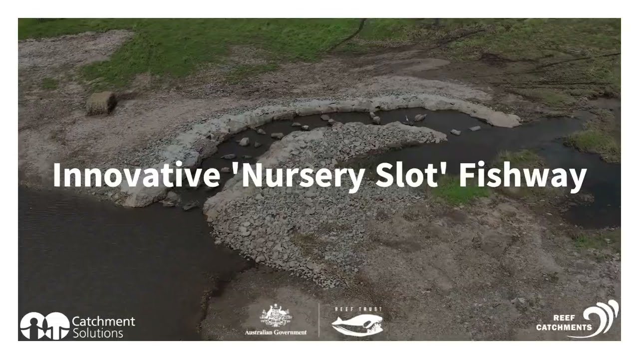 Nursery Slot Fish Ladder, an innovative design