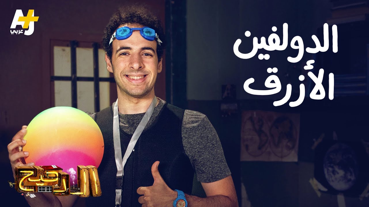 الدحيح - الدولفين الأزرق