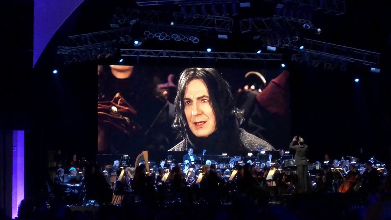 Harry Potter Celebration Opening Night Concert Highlights Universal Orlando