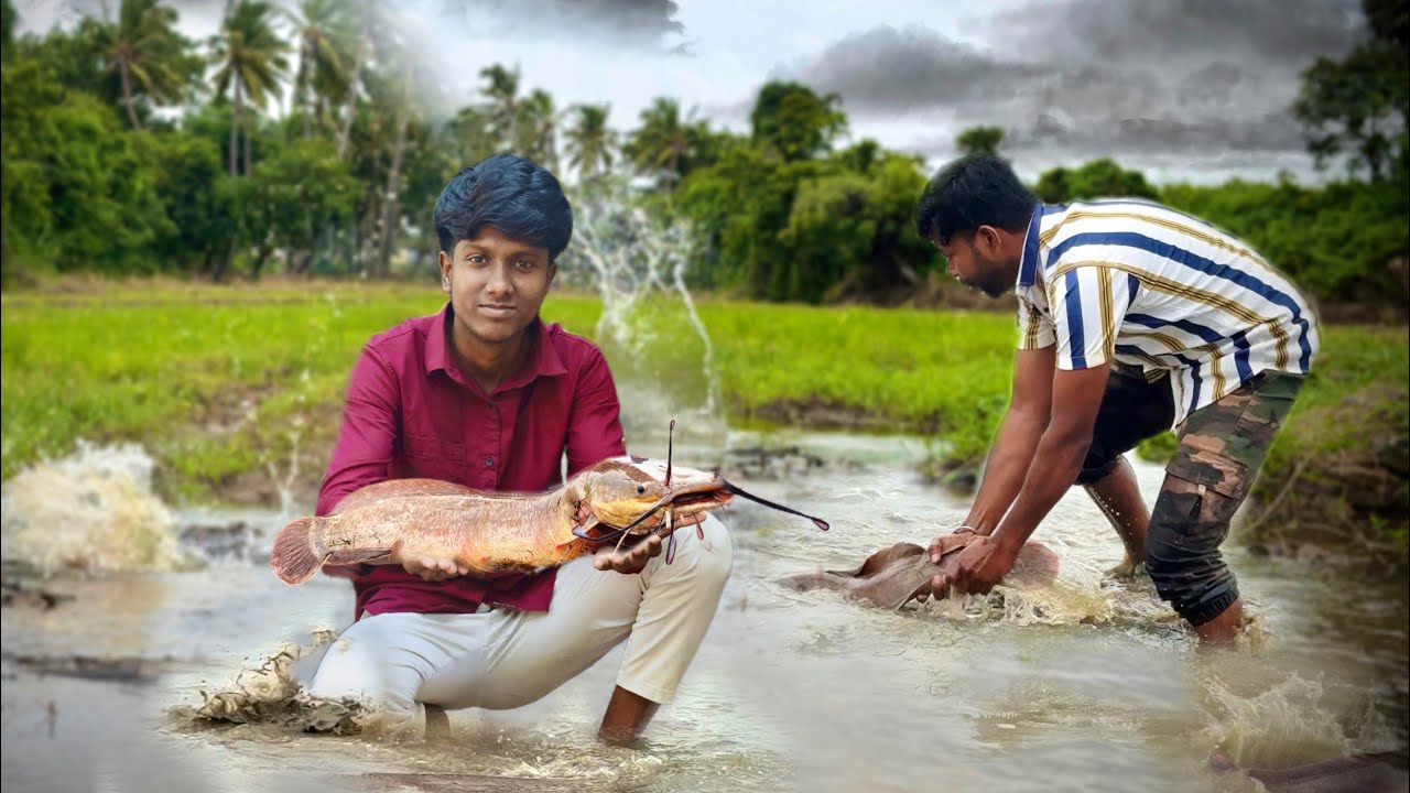 We Found GIANT MONSTERS😳🐬in a FLOODED Field!/JENISH KJ