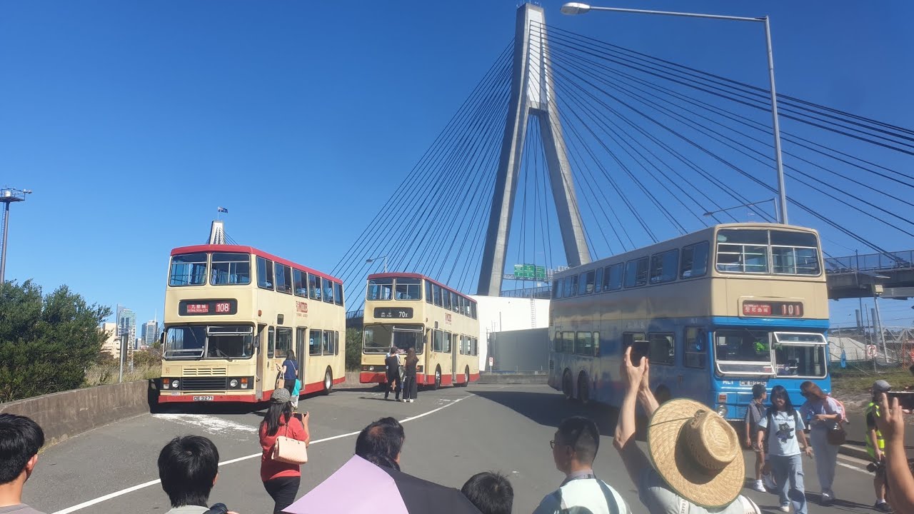 2025 Sydney bus museum Hong Kong bus day 雪梨巴士博物館 香港巴士日