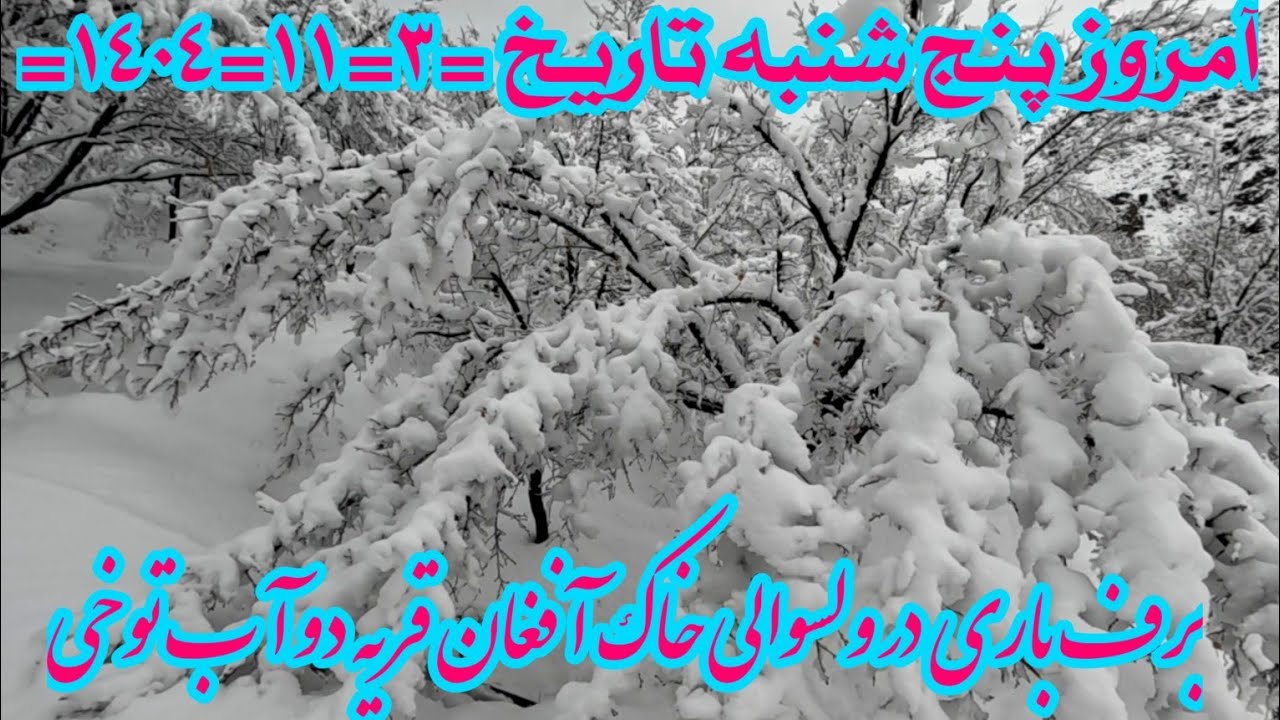 برف رحمت سپیدی آمید بر سر زمین ما