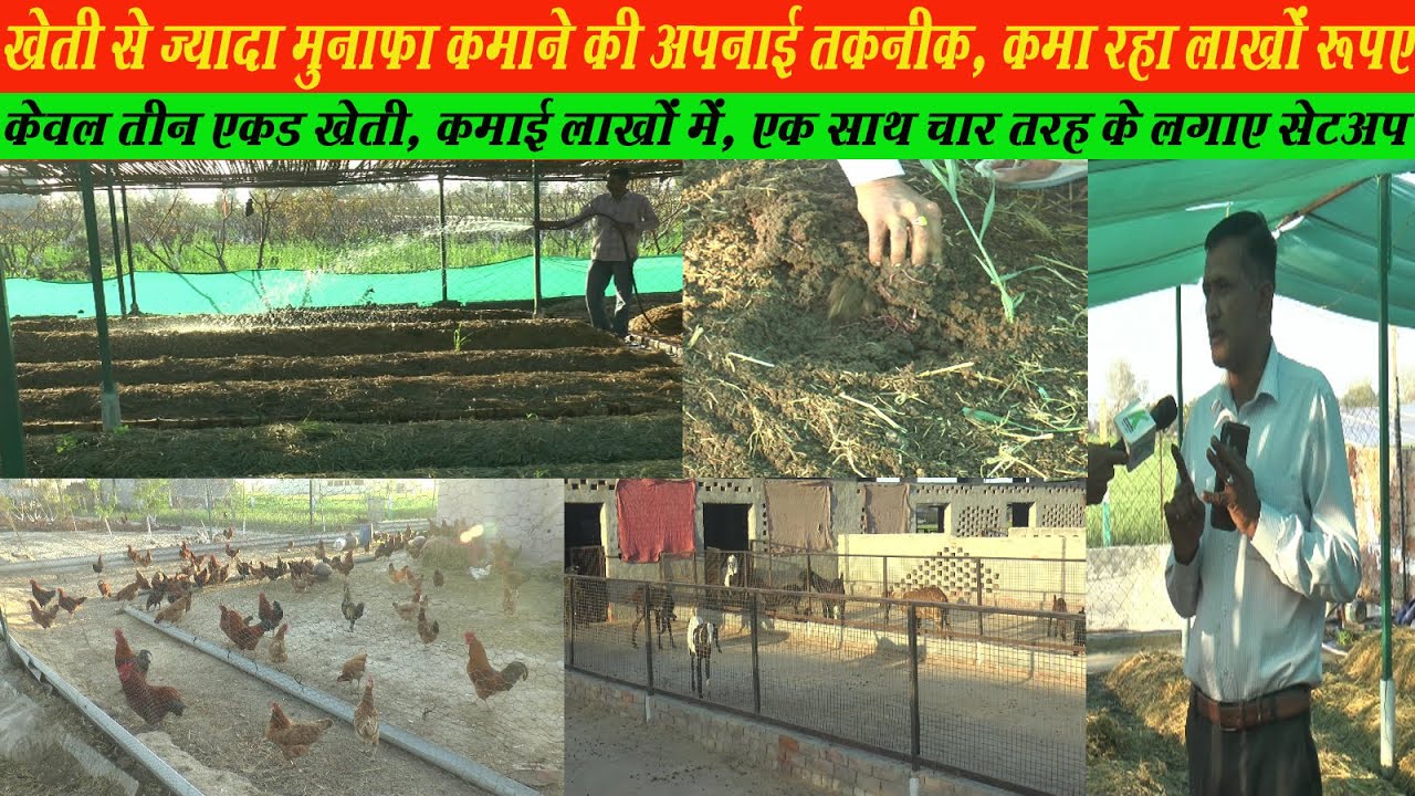 केवल 3 एकड खेत से लाखों रूपए कमा रहा किसान,एकसाथ 4 सेटअप, कैसे करे शुरू, कैसे होगी कमाई,पूरी जानकारी