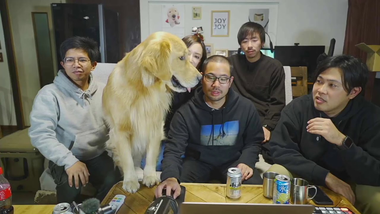 【2020年】年越しライブ配信！