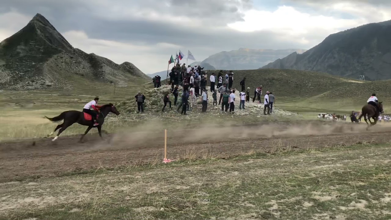 Скачки в с.Гергебиль, Джихад чемп 🏆