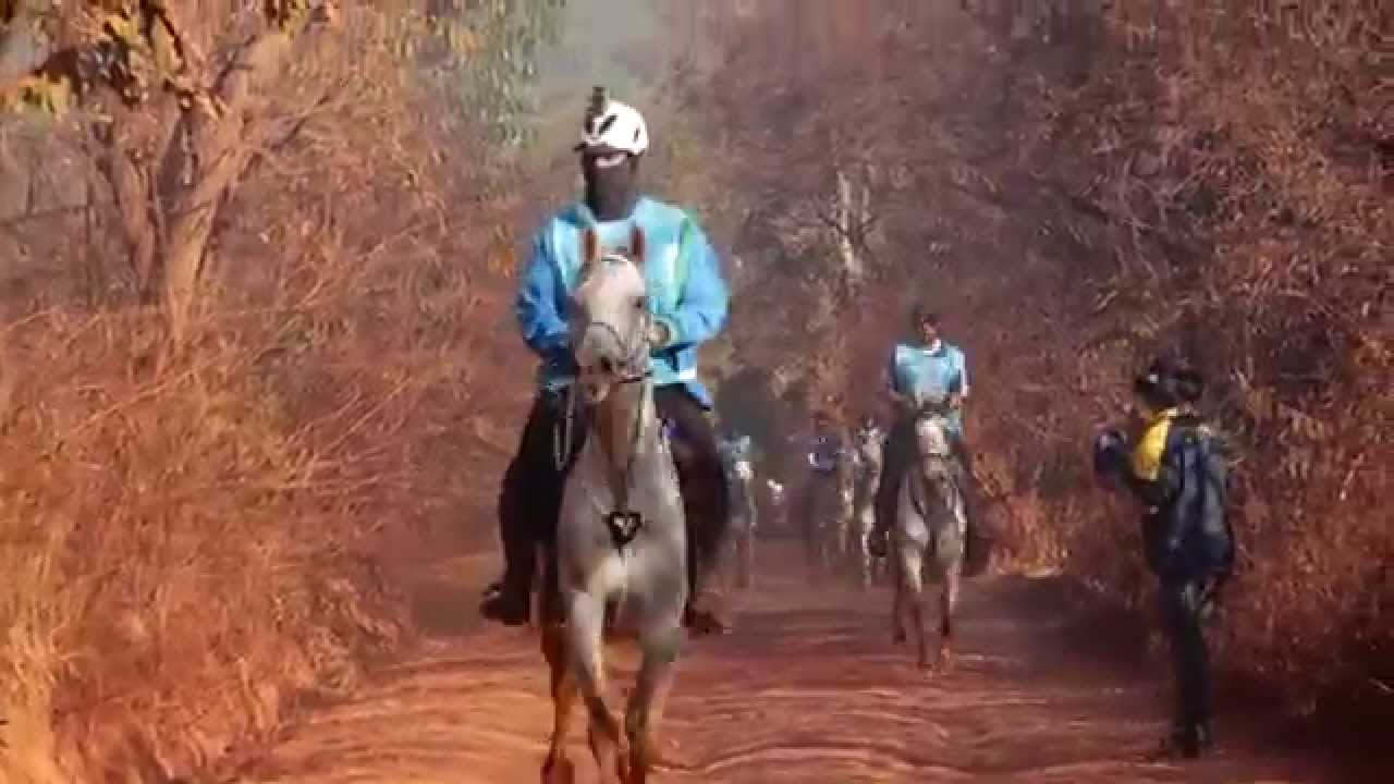 Copa Chevaux - Final Teaser