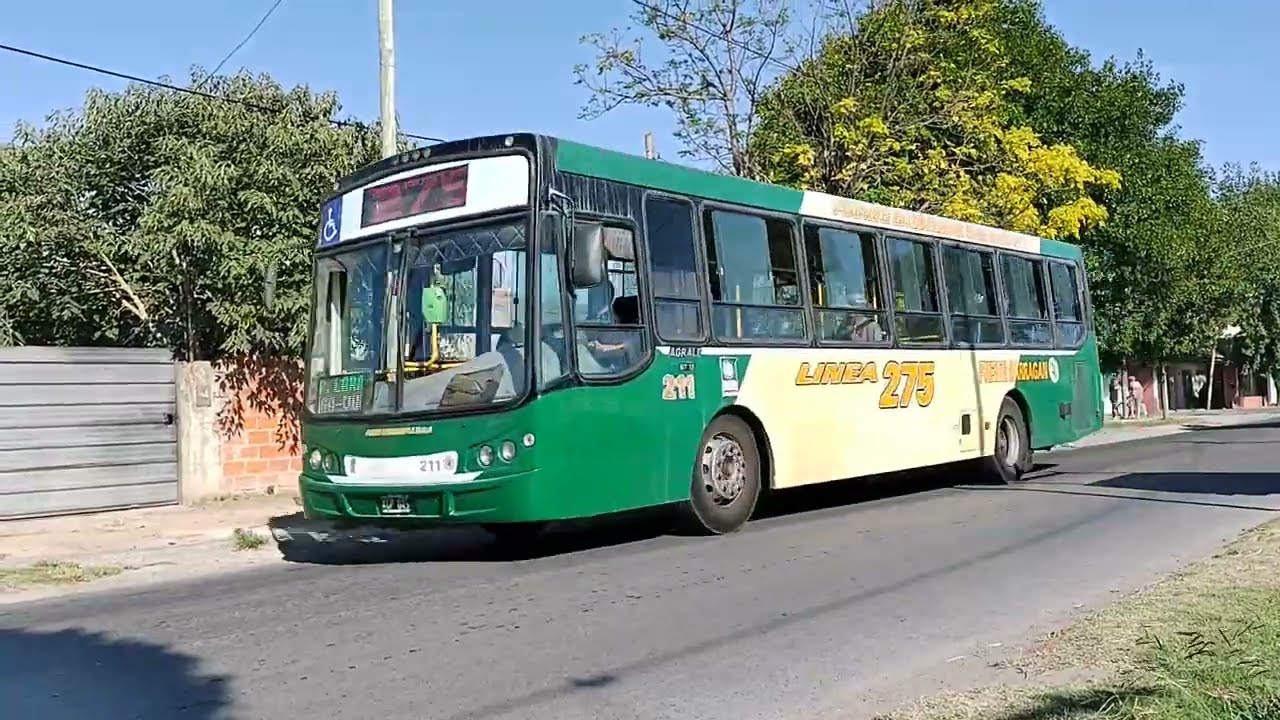 Micros de La Plata 11 (Linea 275)