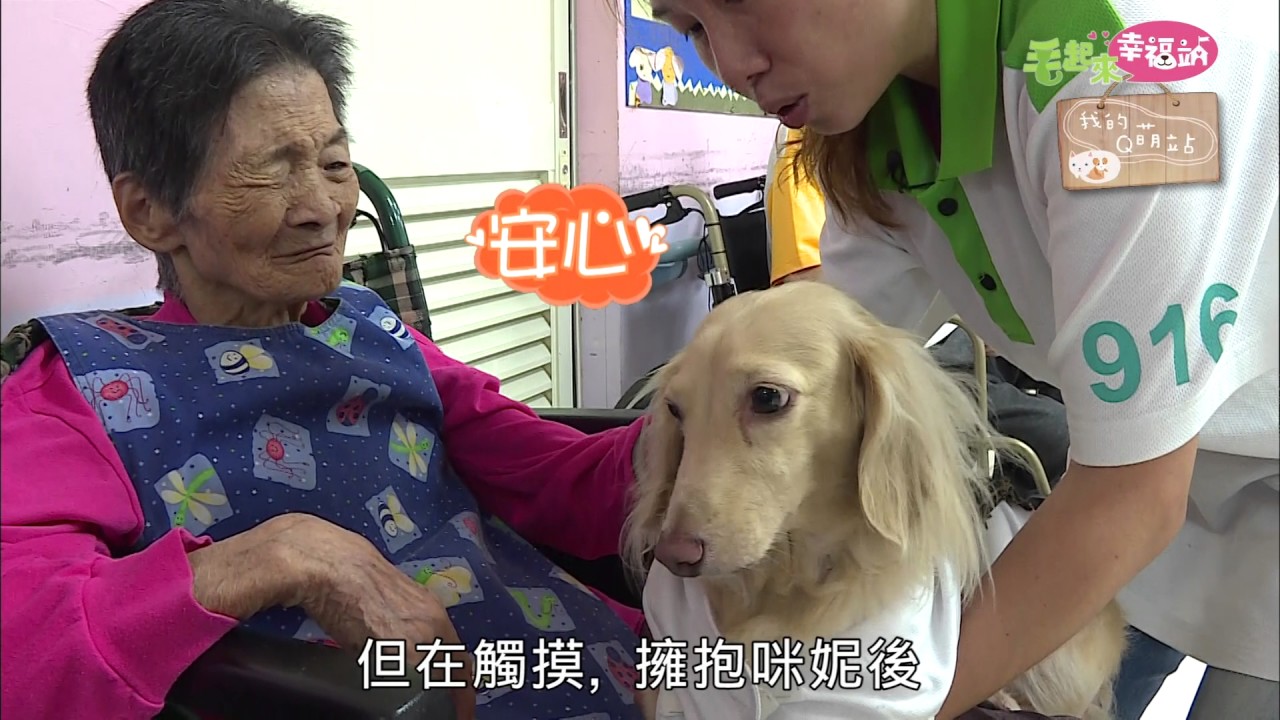 毛起來幸福站《狗醫生與牠的訓練師》