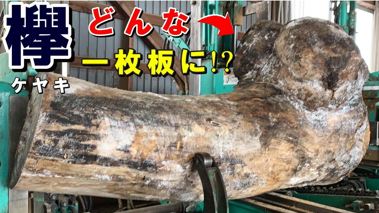 【コブのケヤキ一枚板】大きな瘤が付いた原木から誕生｜オイルで引き出された圧倒的存在感