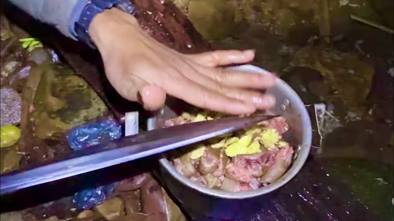 CON DÚI “ NỔ “ | Kiếm ăn trong rừng • Tập 6