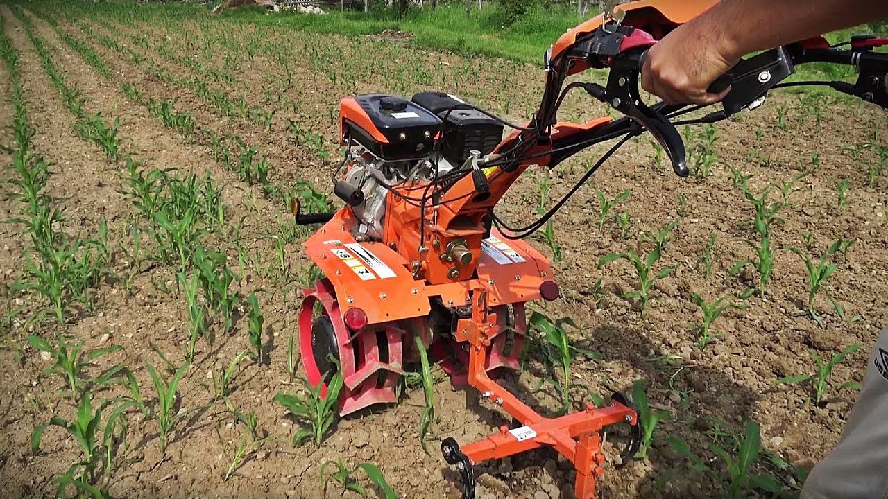 Motocultor la prasit / motocultor si cultivator Ruris