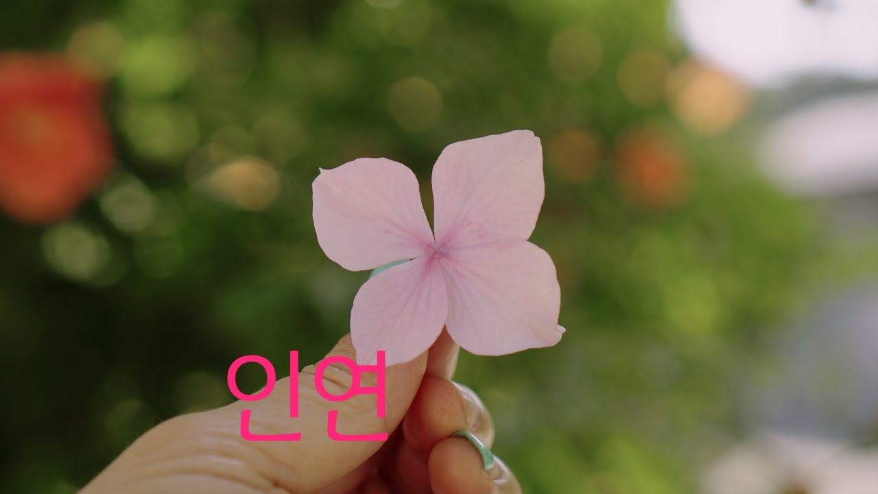 #인연 Destiny _이선희 #k_pop #Array Mbira , 어레이엠비라 연주