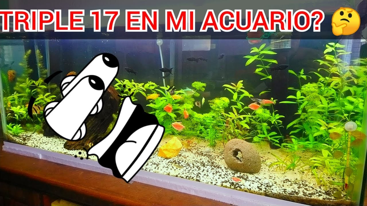 PUEDO USAR TRIPLE 17 EN MI ACUARIO