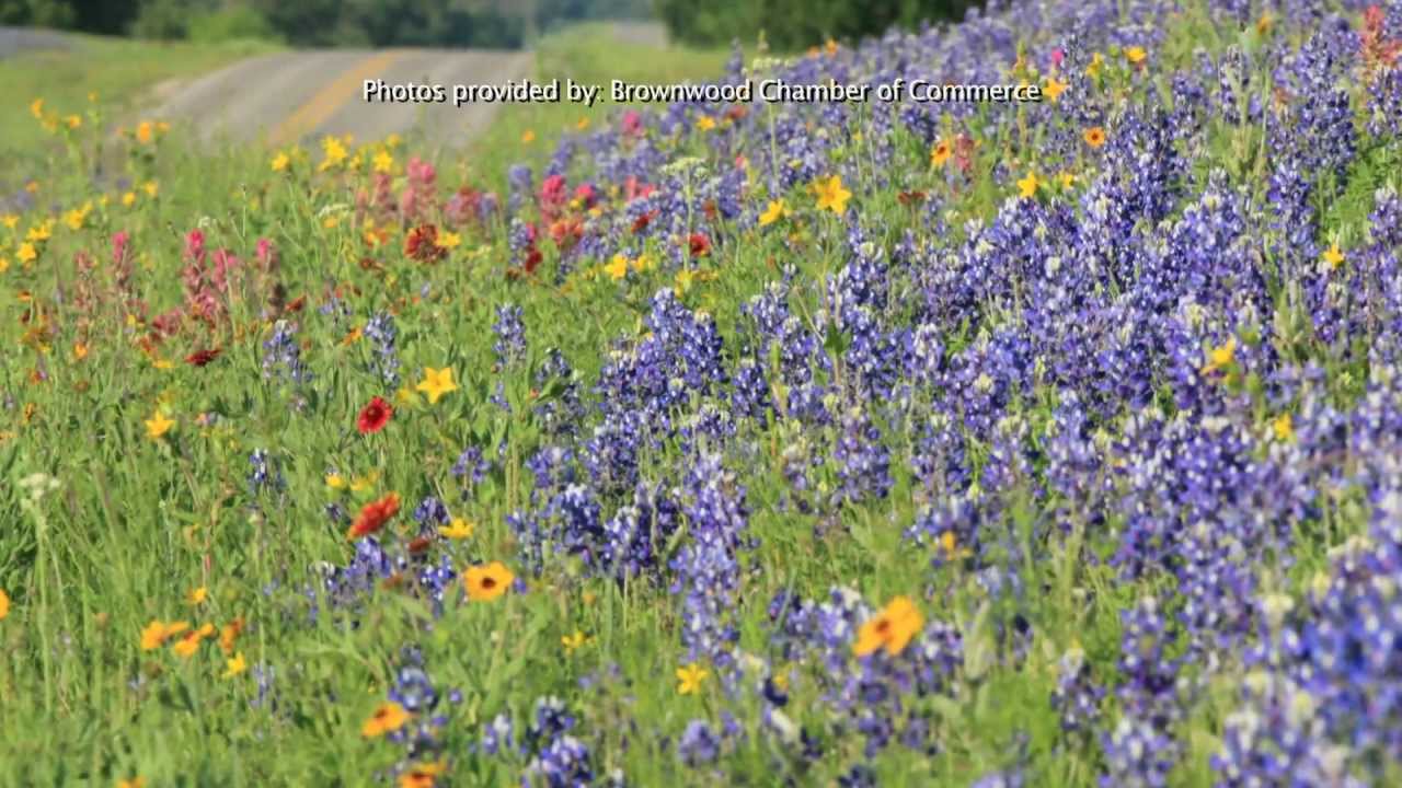 Brownwood, Texas