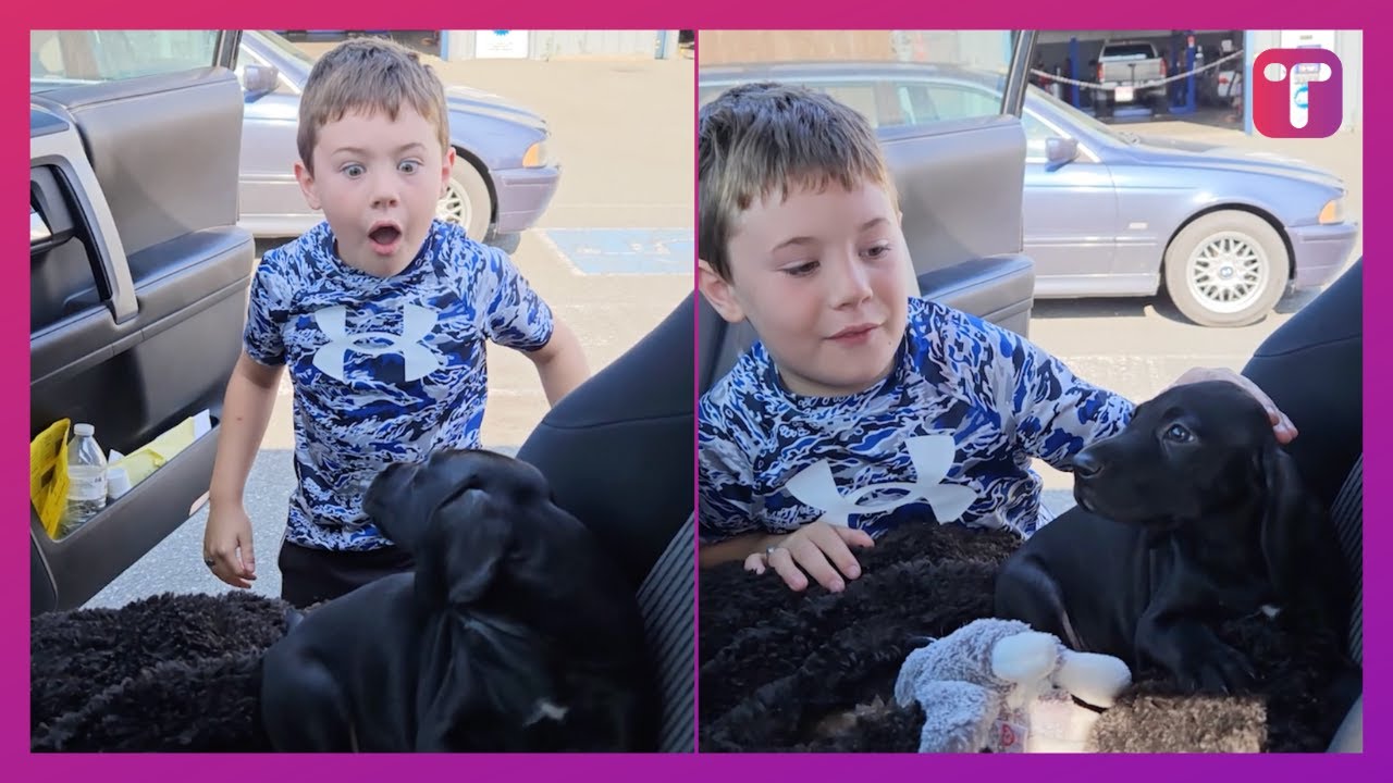 Boy Who Waited 8 Years For Puppy Finds Dream Dog On Front Seat