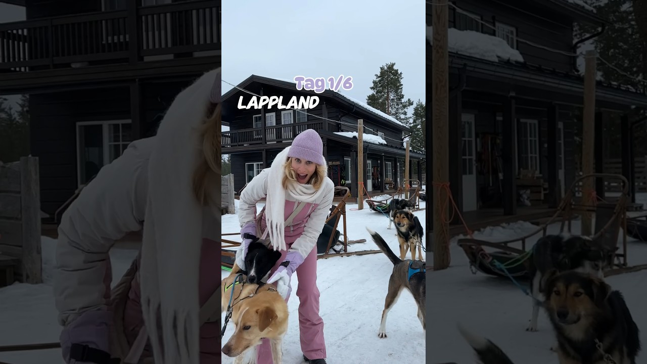 W&uuml;rdest da aufs Klo? 😂 #husky #schlitten #schlittenfahren #reisen #finnland #reisetipps