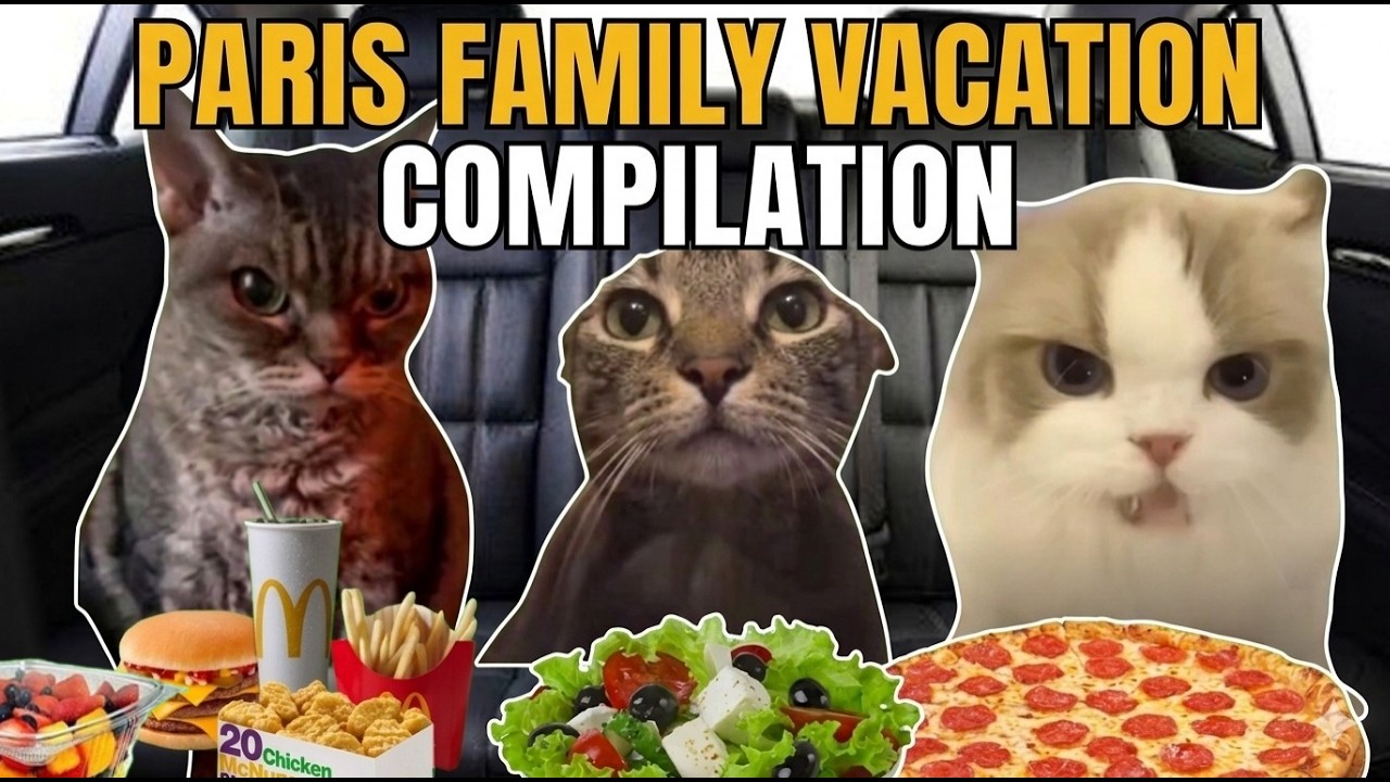 CAT MEMES: FAMILY ROAD TRIP TO PARIS