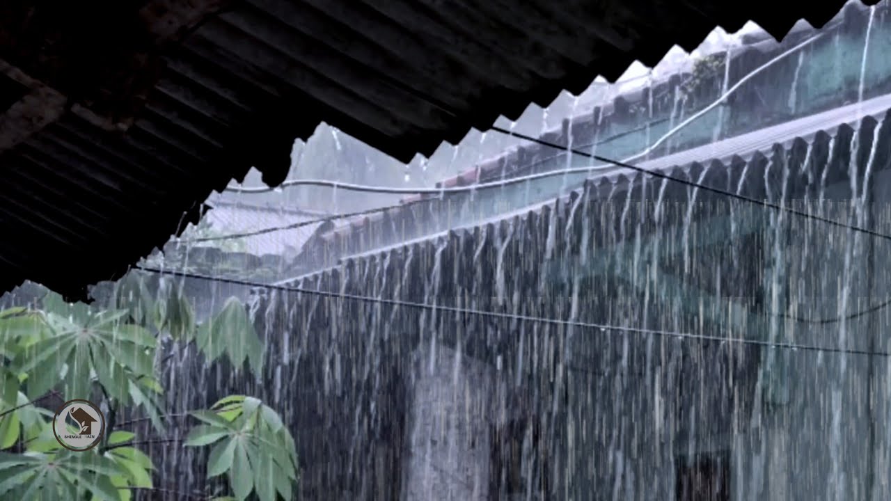 Чистый дождь из черепицы на деревенской крыше 🌧️ Спокойный сельский дождь для сна и глубокой концен