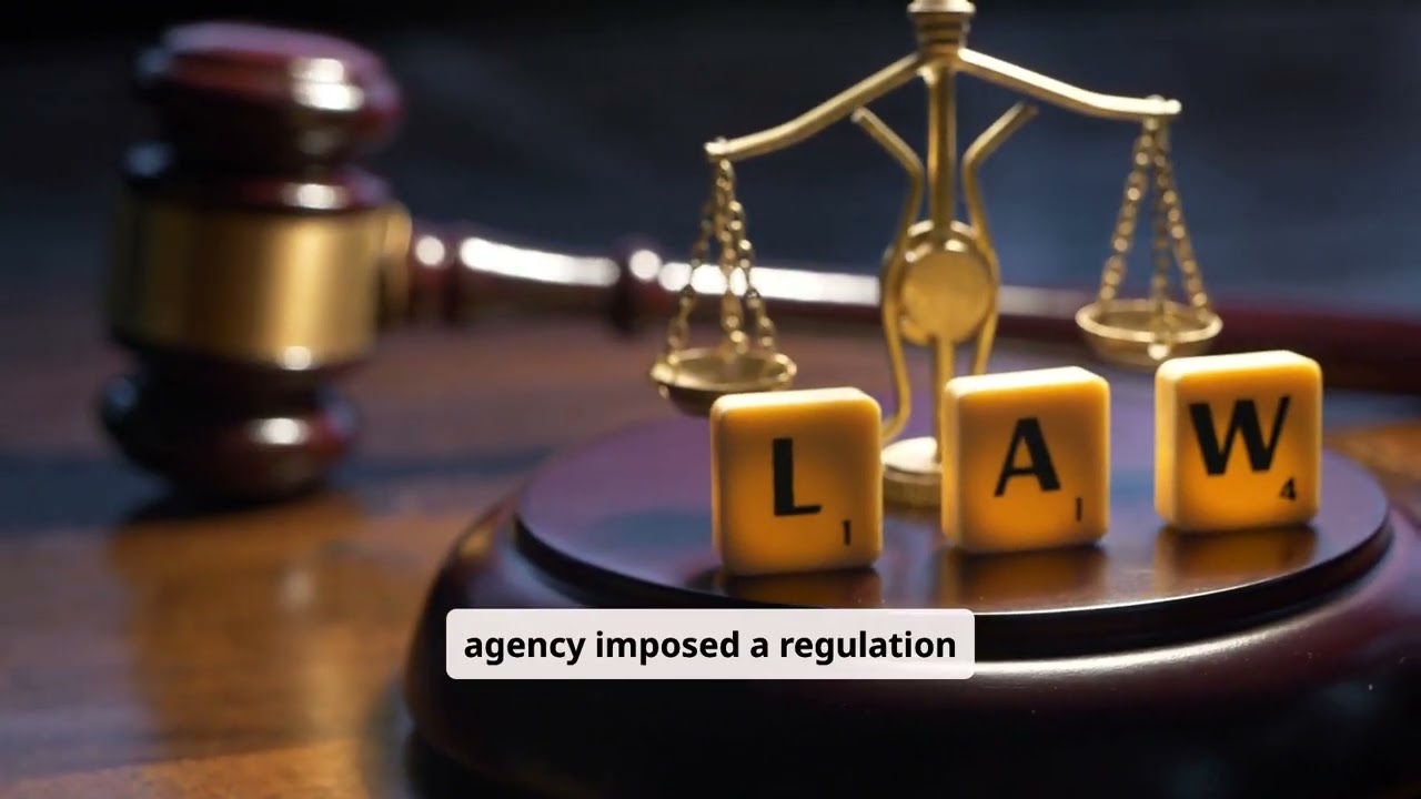 Judicial Review Explained: 7 Key Legal Principles in 4 Minutes!