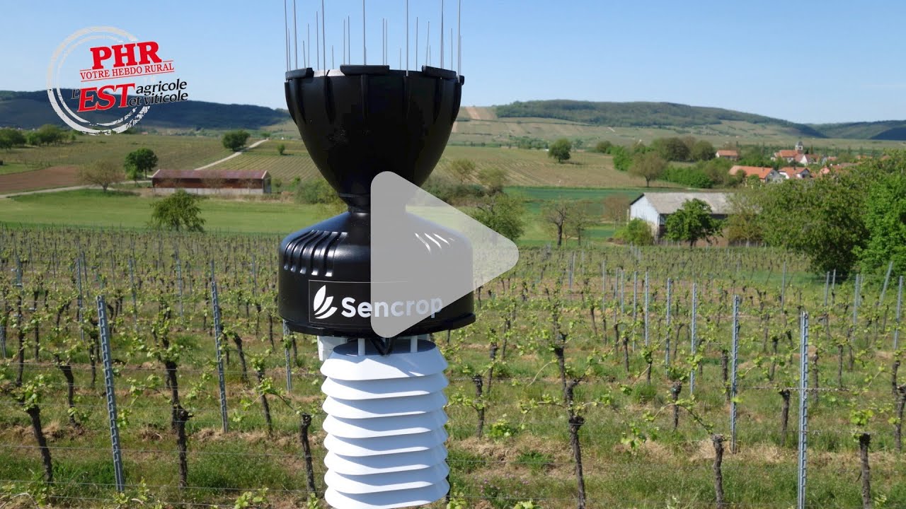 Vitivina finalise son réseau de stations météo