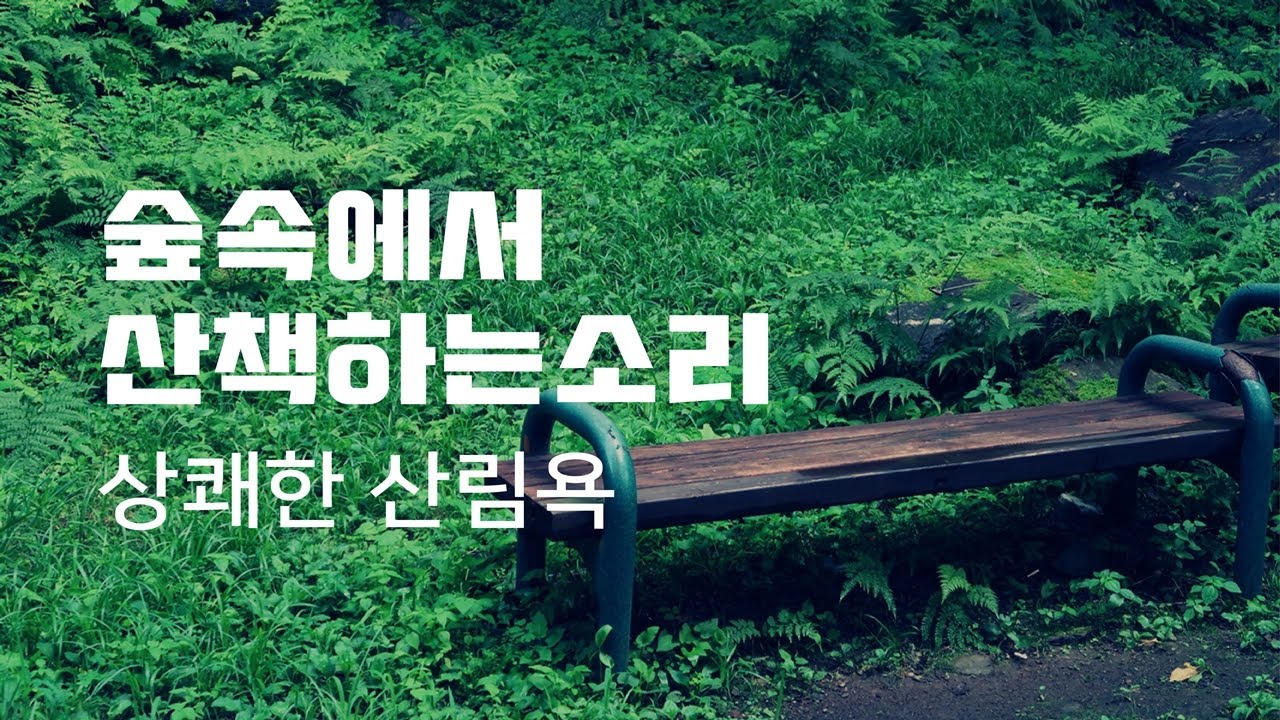 숲속 산책은 즐거워~ 사박사박 바스락 거리는 낙엽 밟는 발자국 소리 들어보세요~