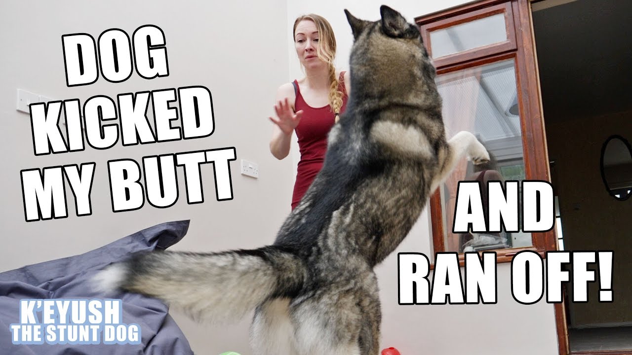 Workout With My DOG! He KICKED My Butt And Ran Off!!