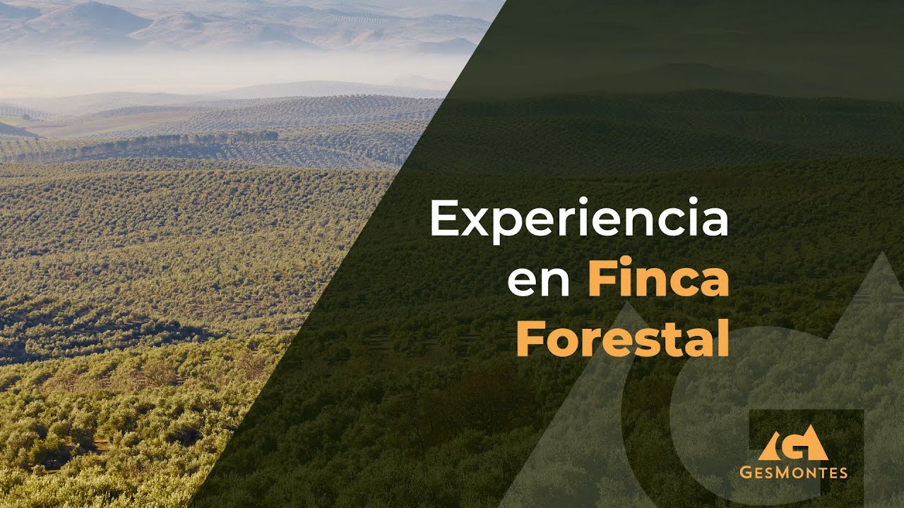 Experiencia Finca Forestal