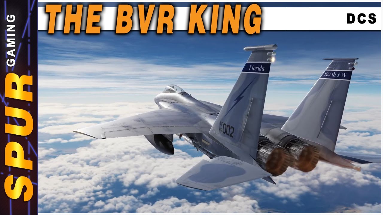 My First DCS Multiplayer PVE | F-15C BVR | DCS World