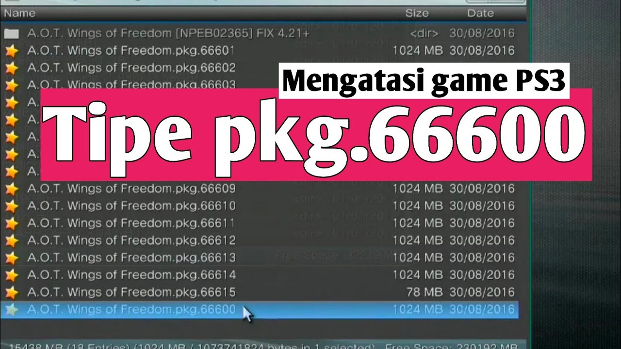 mengatasi game tipe pkg.66600 pada ps3