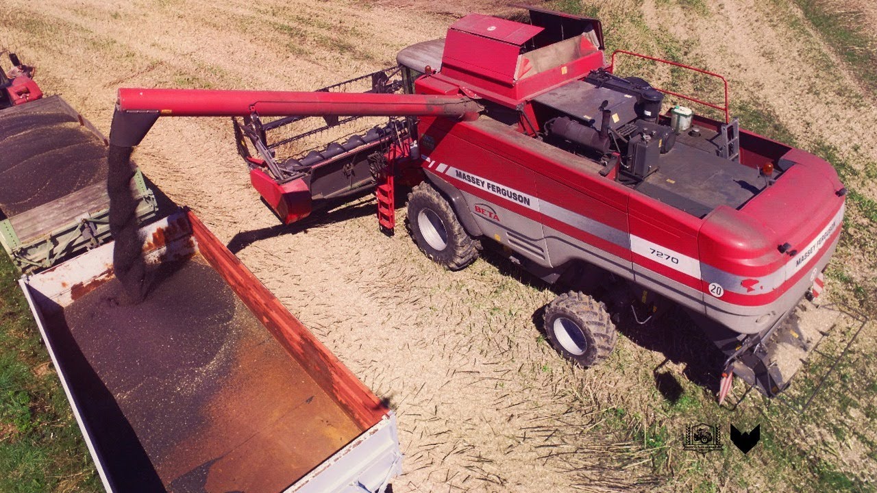 » Raps dreschen║ Massey Ferguson 7270 ║ Agriculture Germanyy ║ [GOPRO/PHANTOM] «