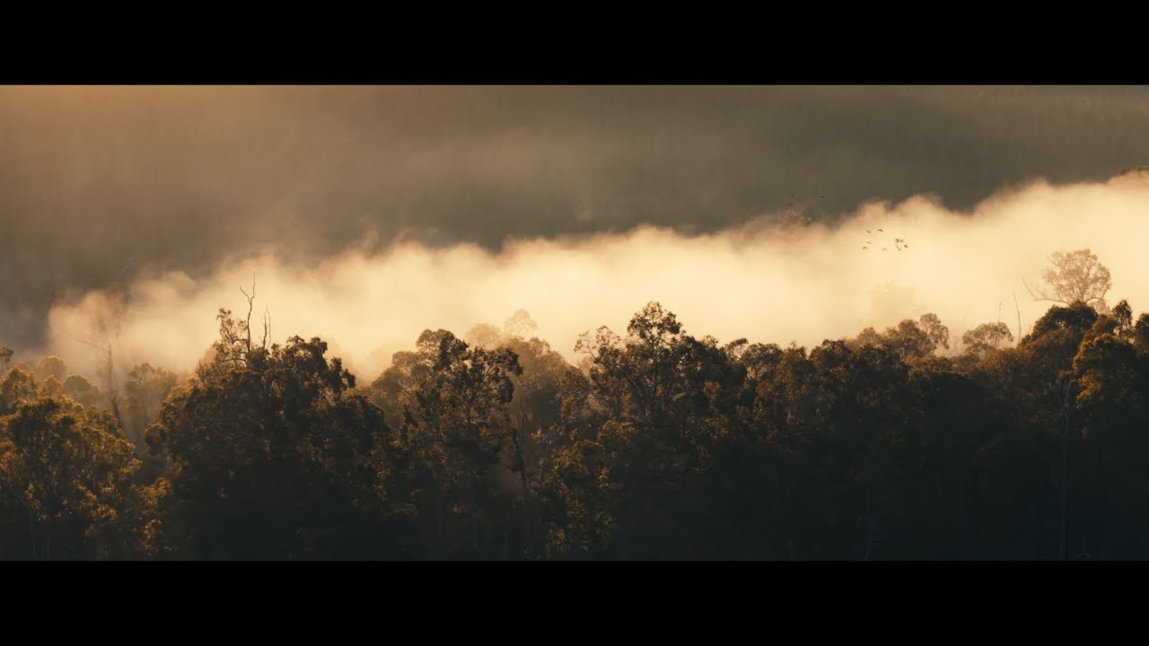 New Dawn | Balingup Black Cockatoos - DJI Air 3