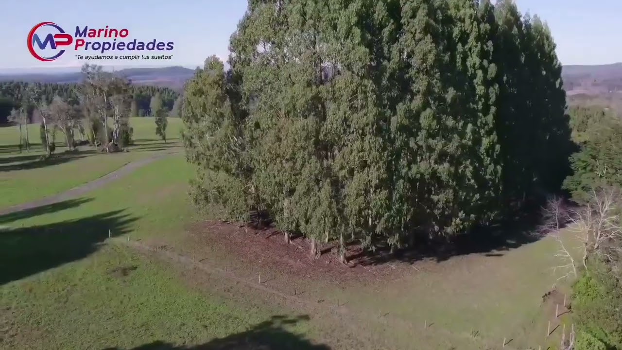 Raíces de Osorno, a 20 minutos de Osorno