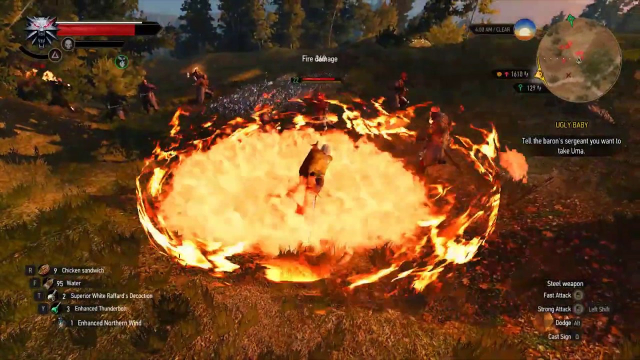 Witcher 3 - 