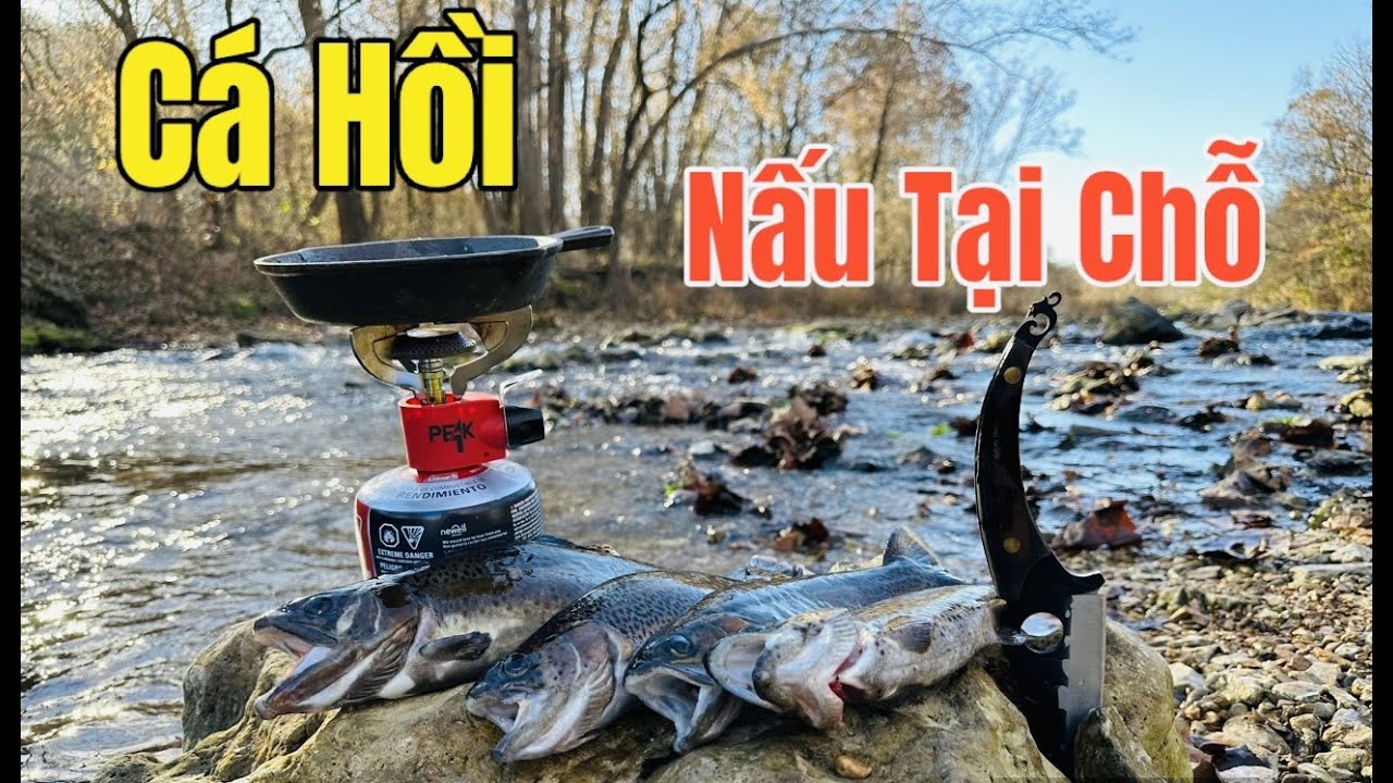 Câu Cá Hồi ( Trout ) Nấu Ăn Tại Chỗ | NĐMĐ