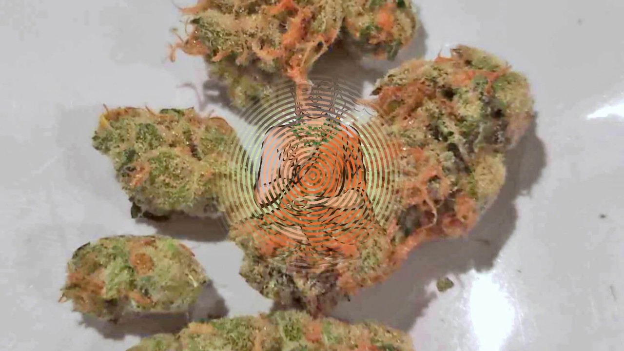 Goji OG