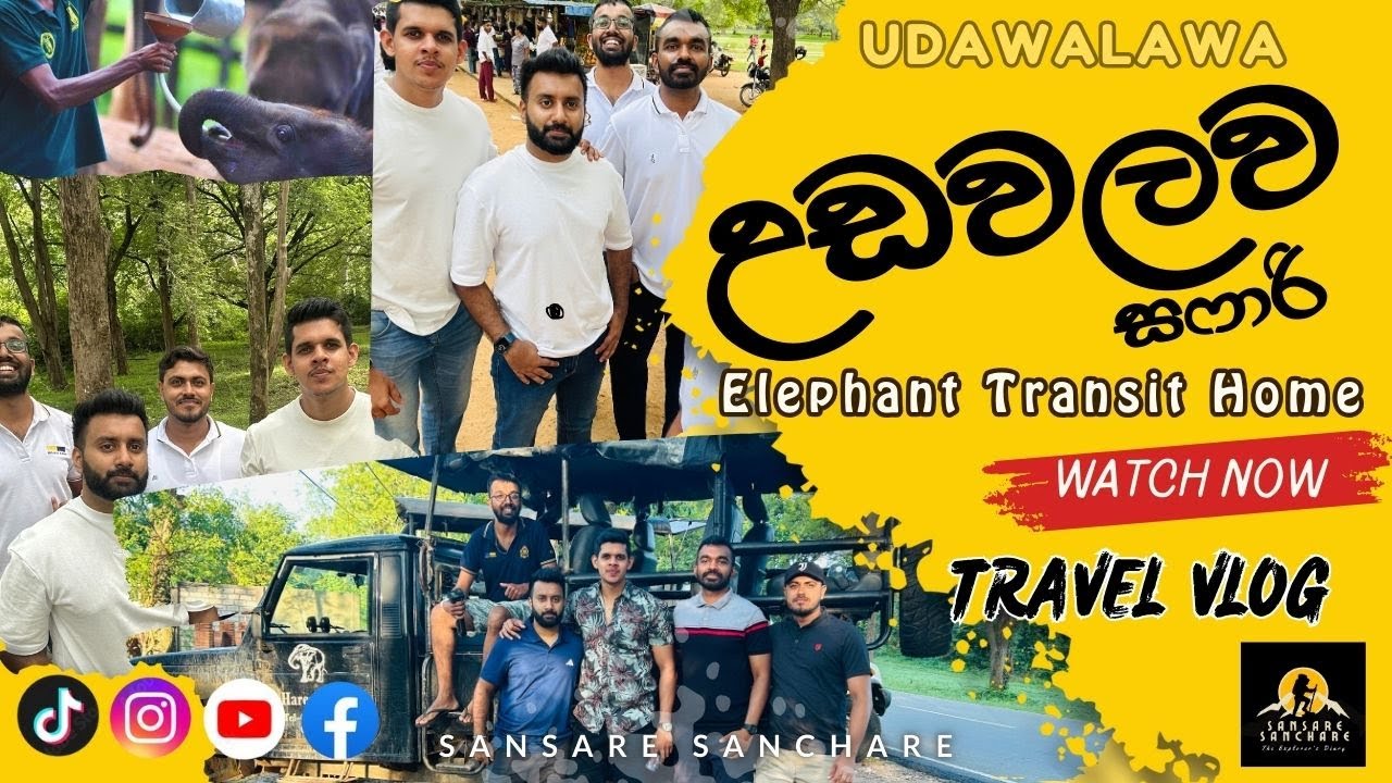 Amazing Udawalawa Safari | Elephant Transit Home | උඩවලව සෆාරි Sinhala Sri Lanka