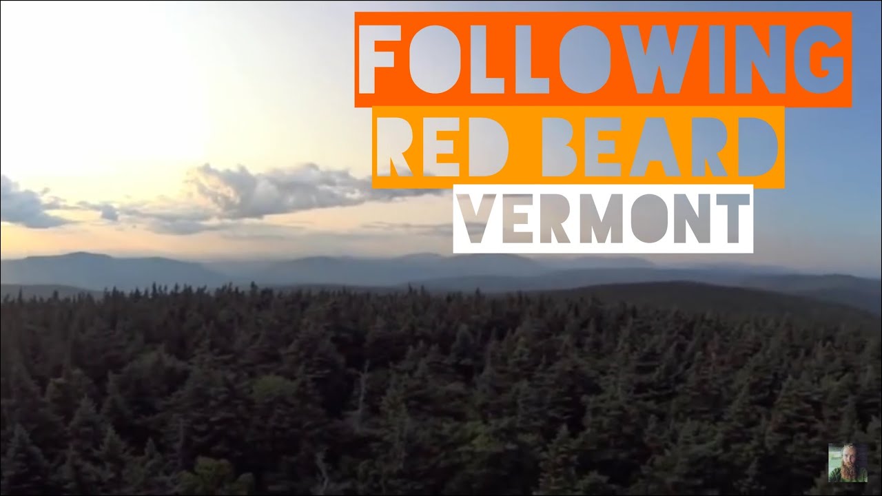 The Appalachian Trail - Vermont (HD)