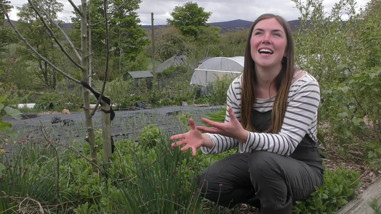 Tap O' Noth Farm -- Creating Our Own Market