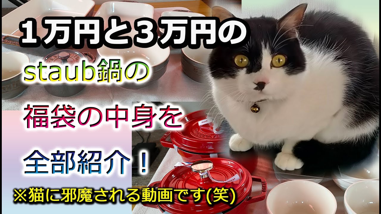 2022年1月1日に【staub鍋の福袋】を買ってみました。山飯動画の自宅編で度々登場するストウブ鍋の福袋紹介です。【猫あるある】もそのままのせました。