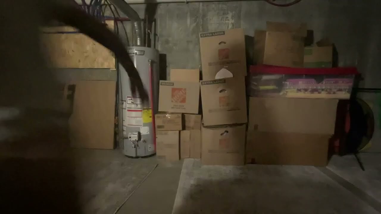 Cutting Room Chore (DreamWorks Animation Version)