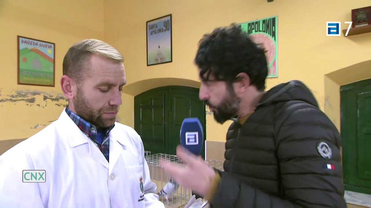 Palomas mensajeras en Conexión Asturias.