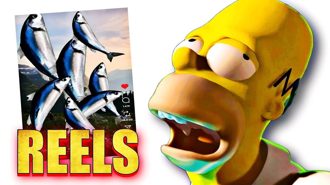 OTRA VEZ REELS?
