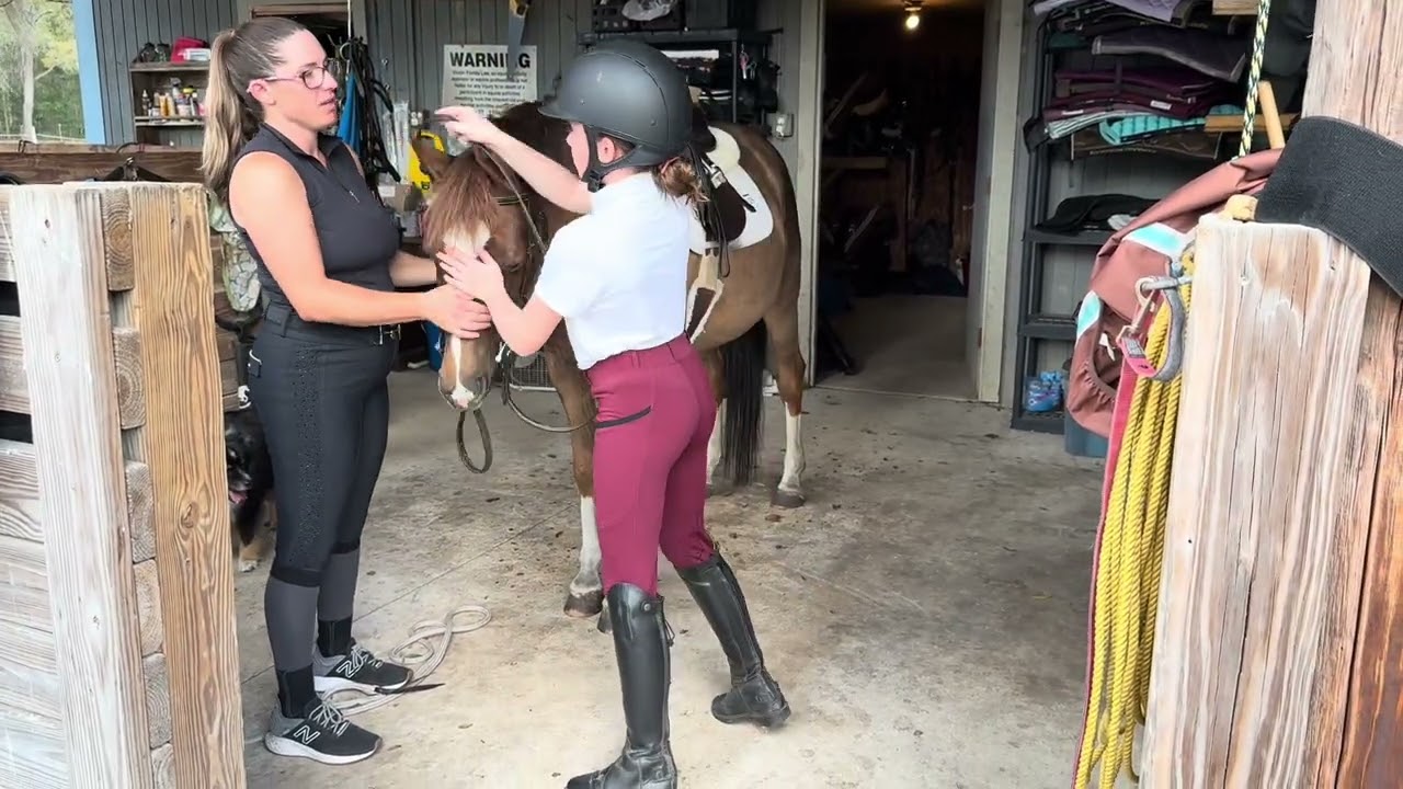 Puddles Lead-Groom-Tack-Bathe with Kid