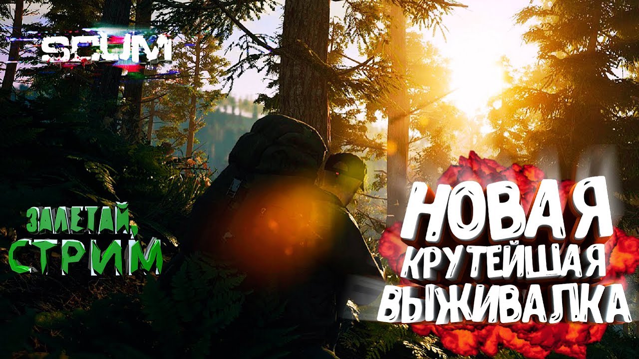 Цвет настроения GAMER новая выживалка SCUM!🔥