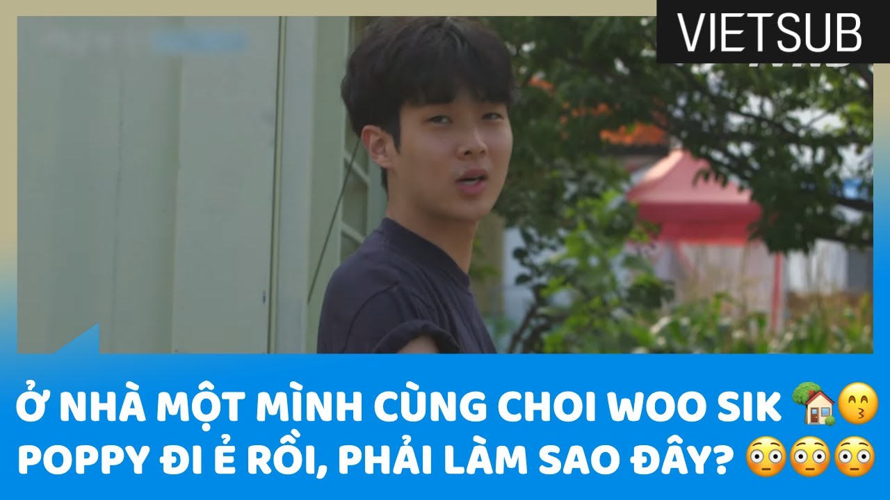 Ở Nhà Một Mình Cùng Choi Woo Sik 🏡😙 Poppy Đi Ẻ Rồi, Phải Làm Sao Đây? 😳 #SummerVacation 🇻🇳VIETSUB🇻🇳