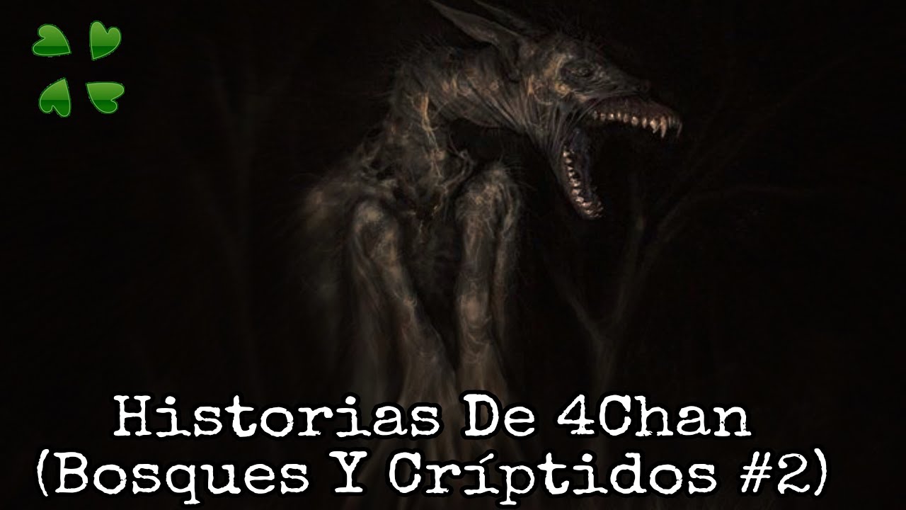 HISTORIAS DE 4CHAN (BOSQUES Y CRÍPTIDOS #2)