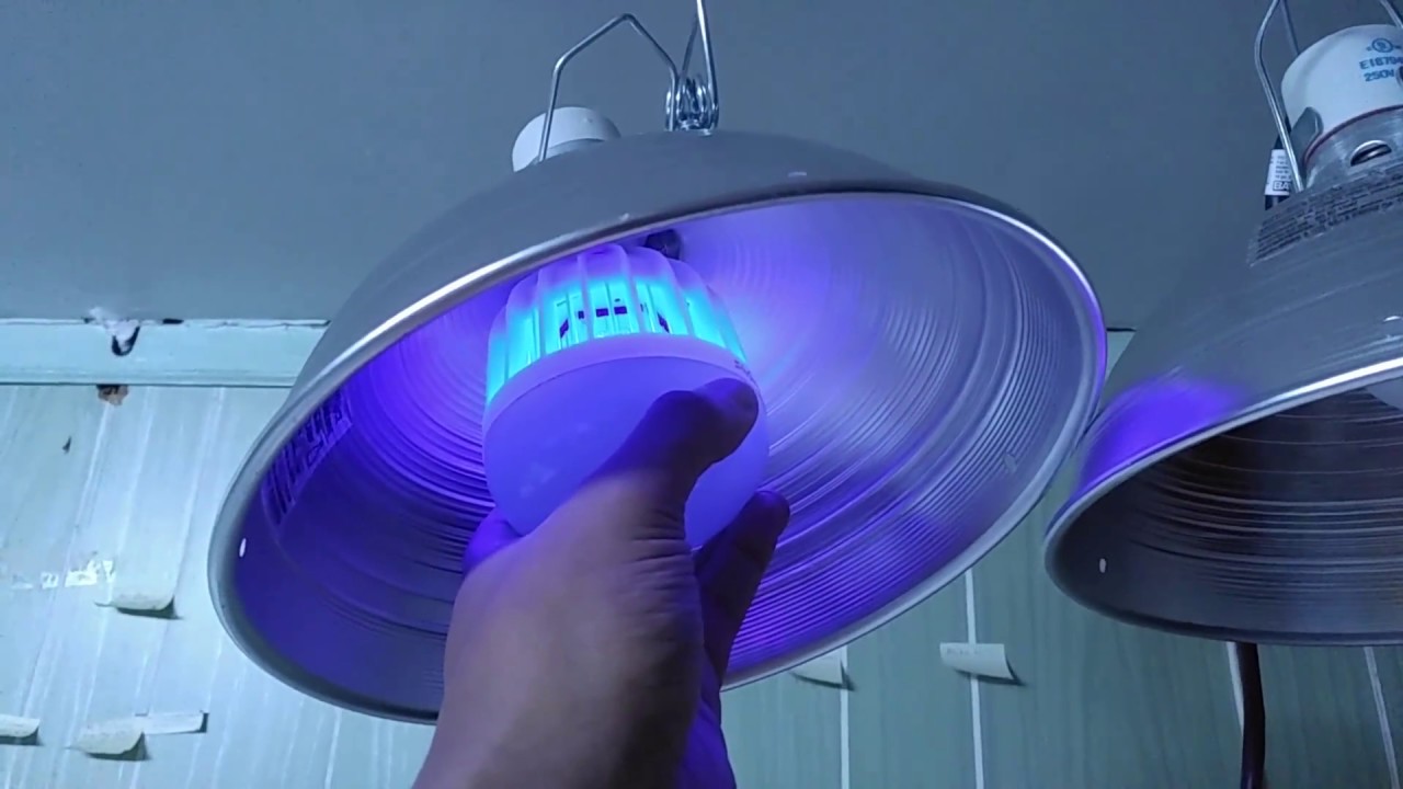 LED Bug Zapper Light Bulb,Mosquito Killer
