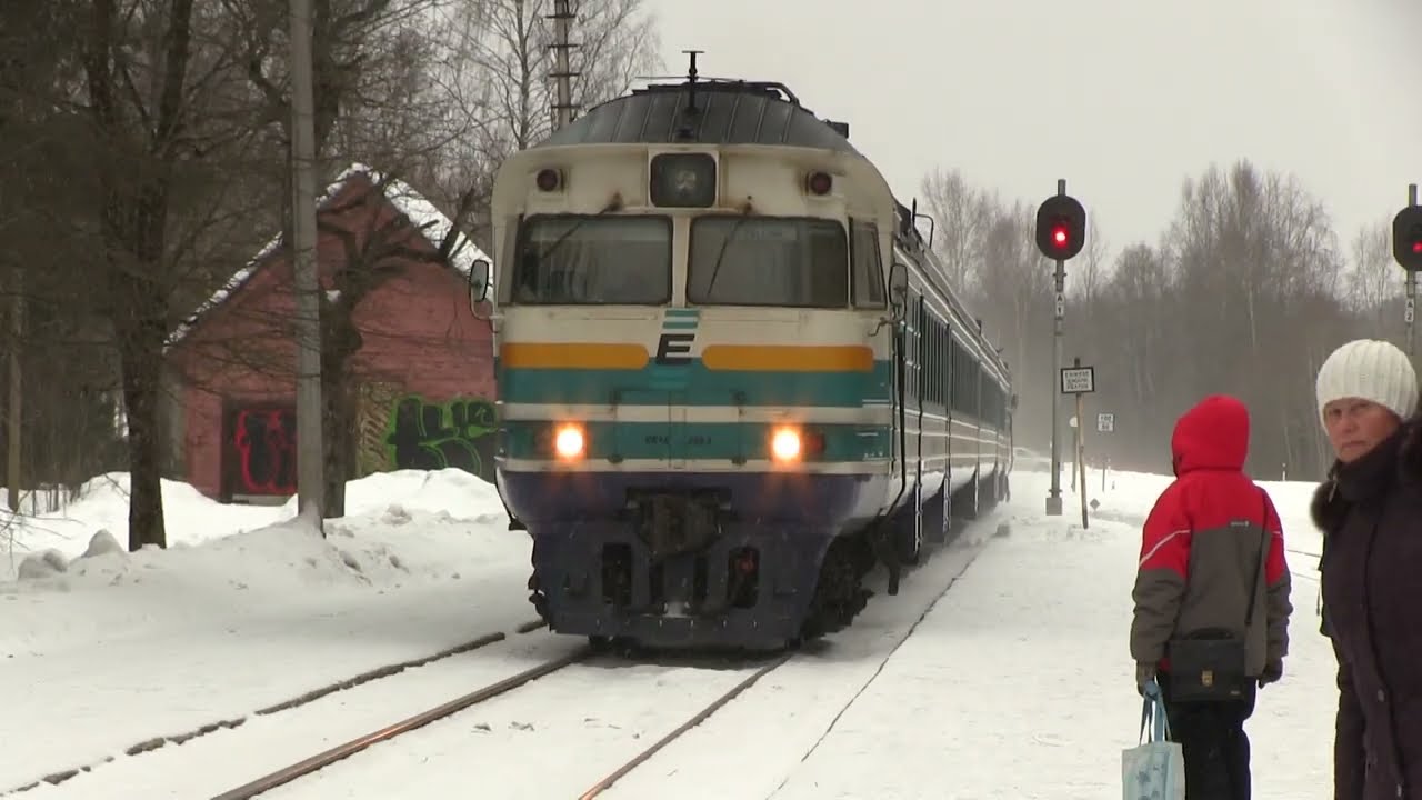 Дизель-поезд ДР1А-229 на ст. Кийза / DR1A-229 DMU at Kiisa station