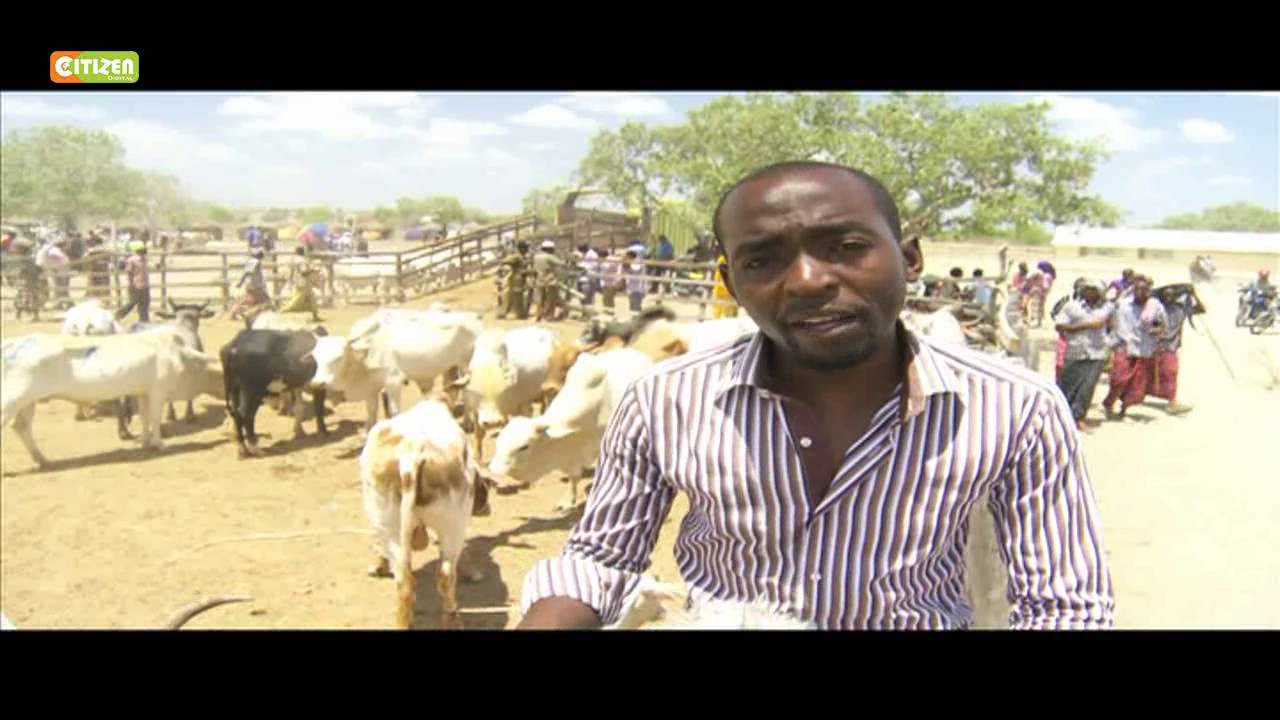The Garsen Livestock Market
